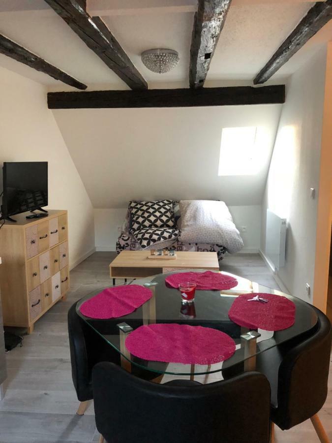 Duplex Hyper Centre Colmar Διαμέρισμα Εξωτερικό φωτογραφία